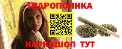 apvp Обь