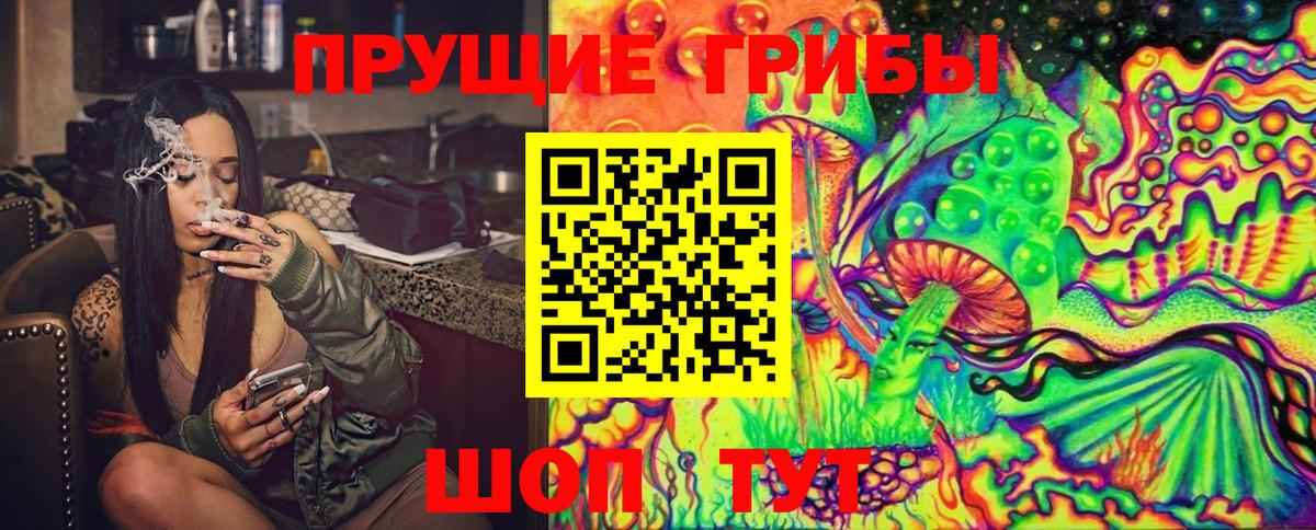 Стрежевой  Галлюциногенные грибы Psilocybine cubensis  Вход с VPN 
